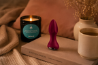 Anal Vibrator — Invitation aux profondeurs du plaisir